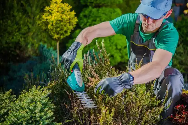 landscaping services Vanceburg